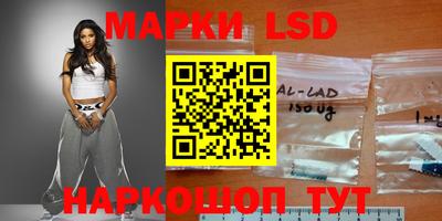 apvp Владимир