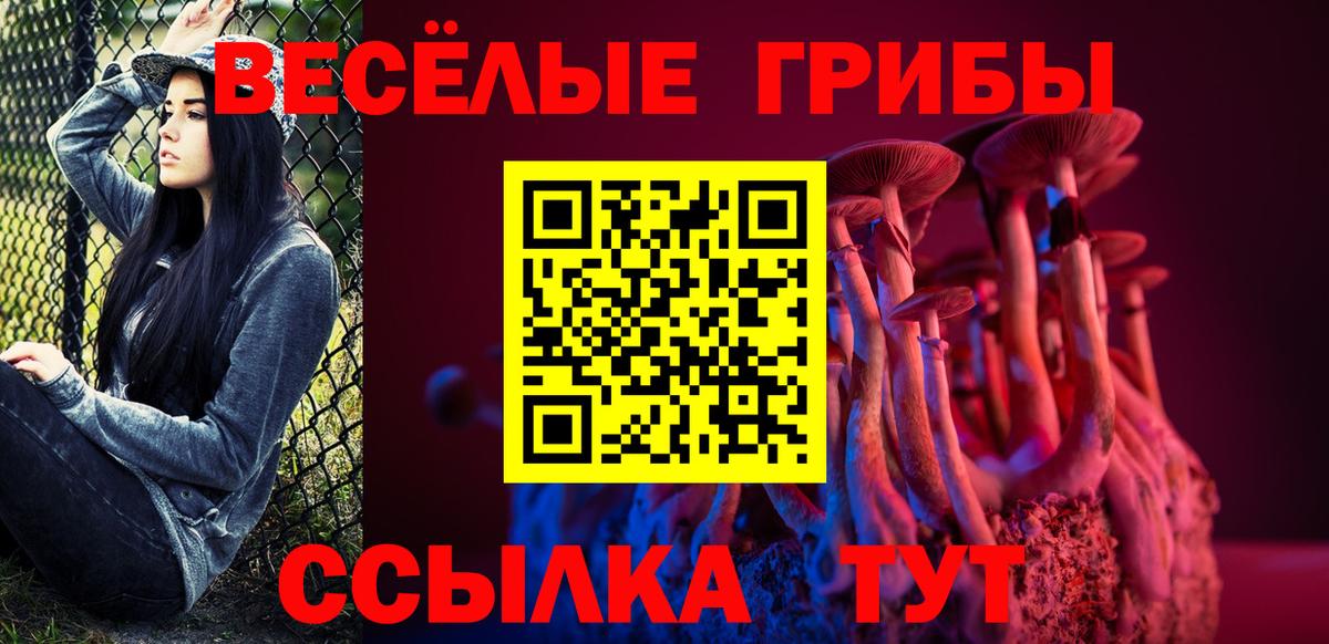 наркота  Псилоцибиновые грибы Magic Shrooms  Вход с VPN  Бийск 